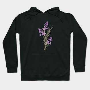 Beautiful Flowers 19 Hoodie